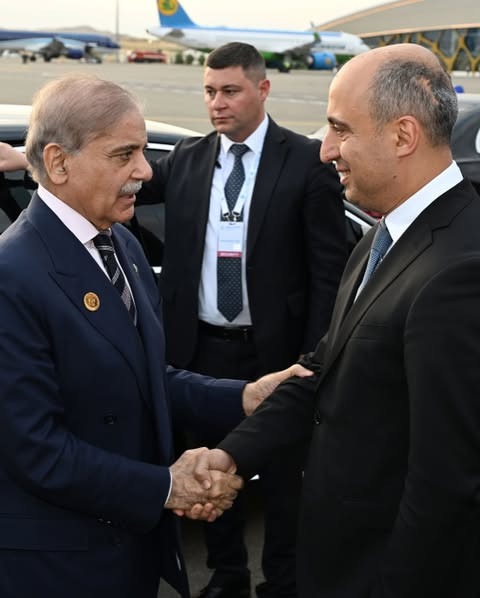 515481715 18516768928031353 2376801182476943110 n.jpg?stp=dst jpg p480x480 tt6& nc cat=103&ccb=1 7& .jpg