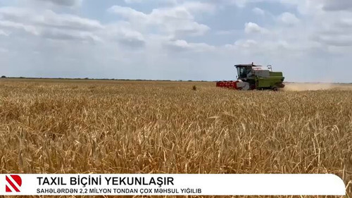 Bj4tnDm uZHISKKq.jpg