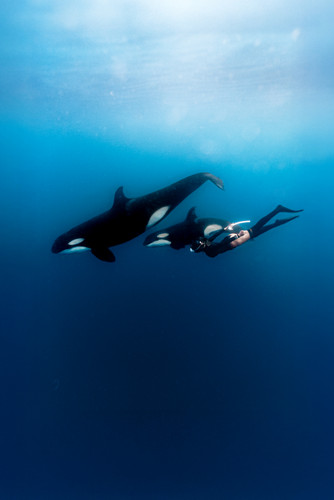 ACH06897 編輯 編輯.jpg