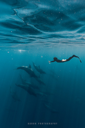 ACH06476 編輯 編輯.jpg