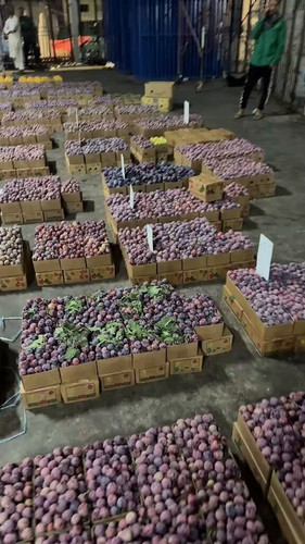 nQglNLzdW p3ZmTA.jpg