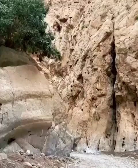 nY dnIIazAMsHWjb.jpg