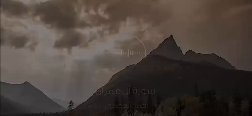 r0reXM8IommEjEd5.jpg