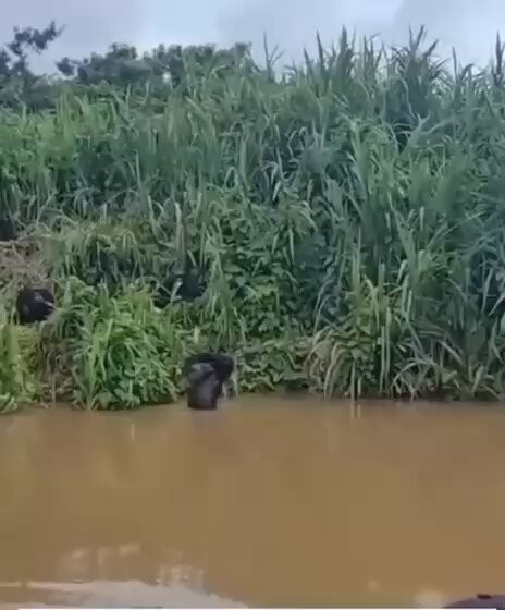 Yd 1yhs0WgqTQjQv.jpg