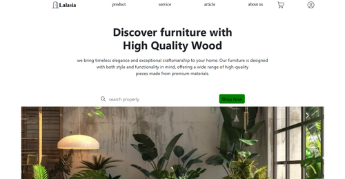 Website 1