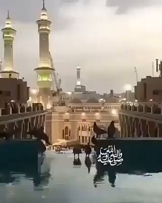 MQtP3g19yU8bIQ s.jpg