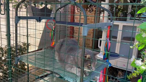 oZtP3Me0bQwuL Fs.jpg