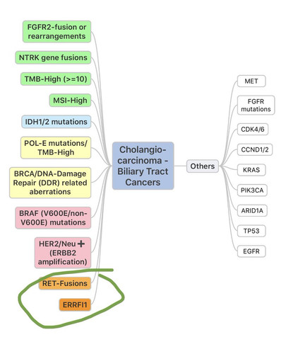 EdS SUdXoAAC1q1?format=jpg.jpg