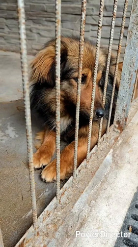 x 4hw5W7 mb5z3su.jpg