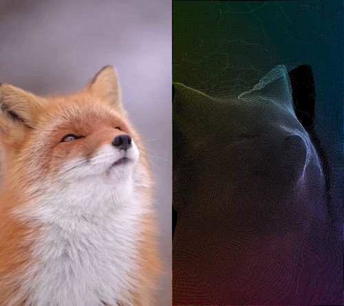 gUllJ0CfMg33QQgK.jpg