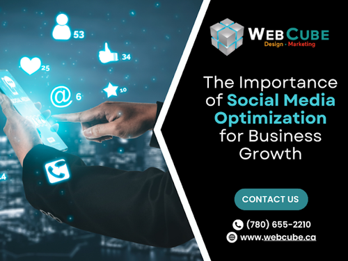 webcube importance.png