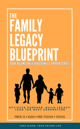 Bold Orange Business Guide Book Cover.png