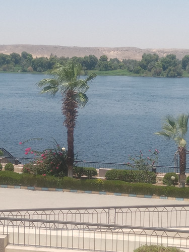 IMG 20250705 120606.jpg