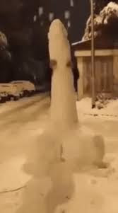 1000346841.jpg