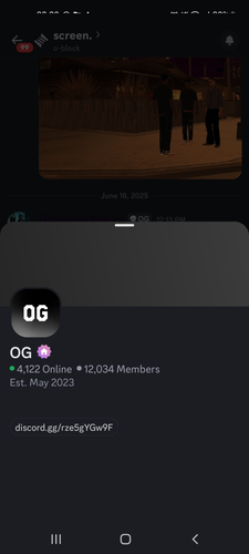 Screenshot 20250618 222903 Discord.png