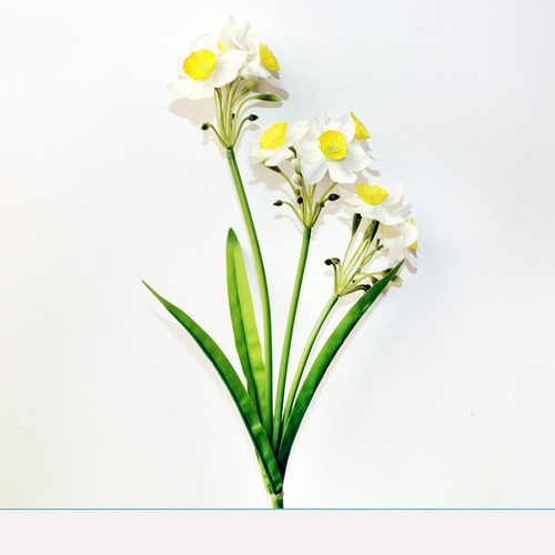 O1CN01gs6L6R28CQOmapk5N !!2129177896 0 cib.jpg