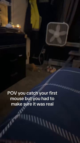 VS7H1 3TxHoXHqV2.jpg