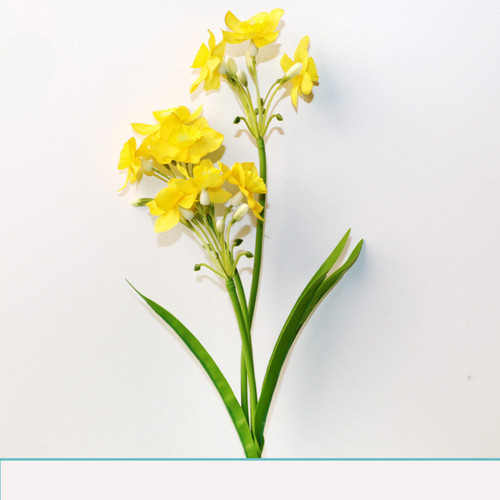 O1CN0127iGSh28CQOnBpnhS !!2129177896 0 cib.jpg