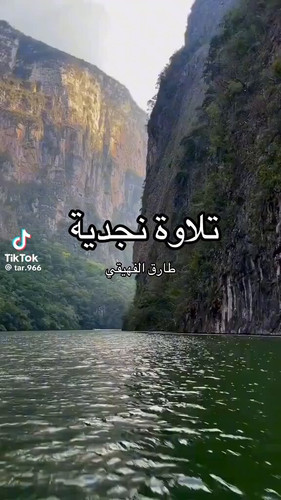 g2d2NAlupeQr5 lX.jpg