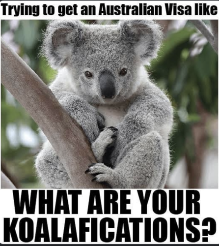 Screenshot 2025 07 04 at 2.19.11 PM.png