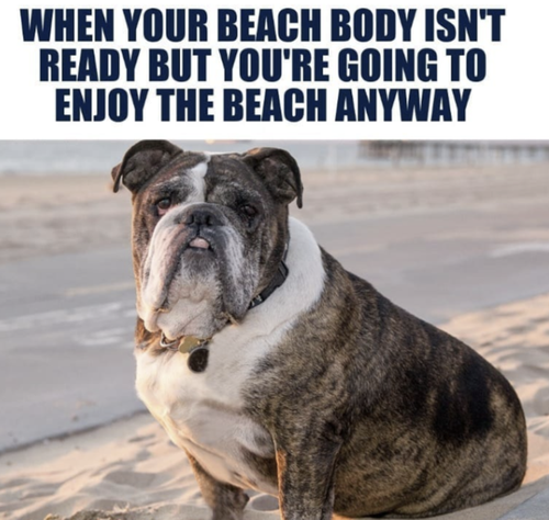 Screenshot 2025 07 04 at 2.18.15 PM.png