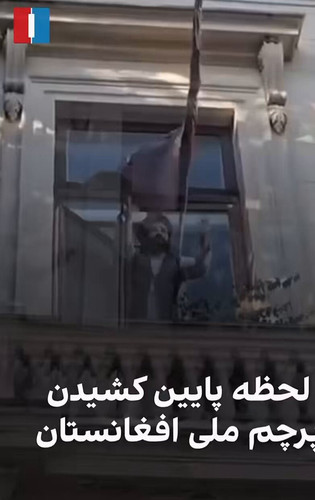Fa8BVrRUi7ulEw1z.jpg