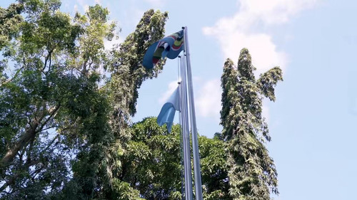 t3bH eivulzHDljV.jpg