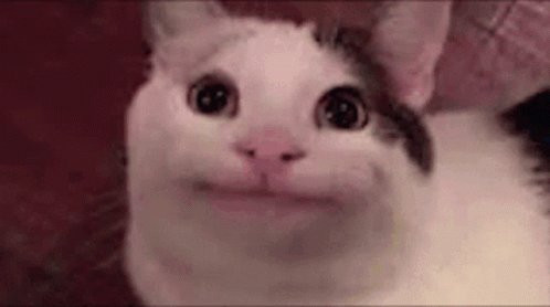 GqxAOMGXAAAuemH.jpg