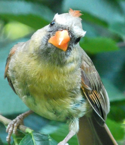 Gu RUeAWcAAHFua.jpg