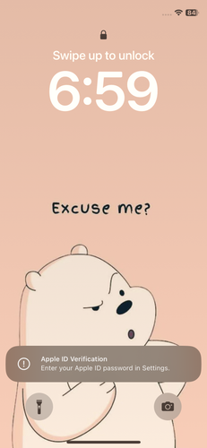 IMG 6845.png