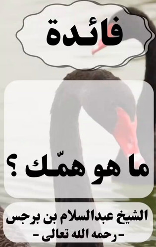 QjngtoJQj Rhk3aN.jpg