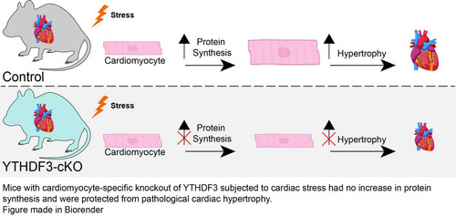 Gu9KWW7XYAI8hhS.jpg