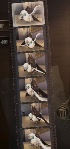 Screenshot 2025 07 05 13 37 47 621 edit com.xingin.xhs.jpg