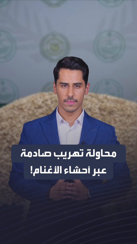 Pd vILJcJcvrSRAv.jpg