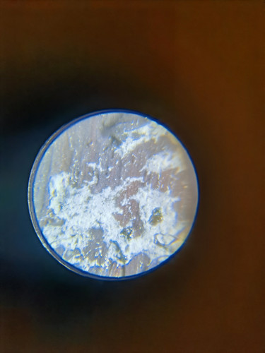 IMG 20250704 153911.jpg