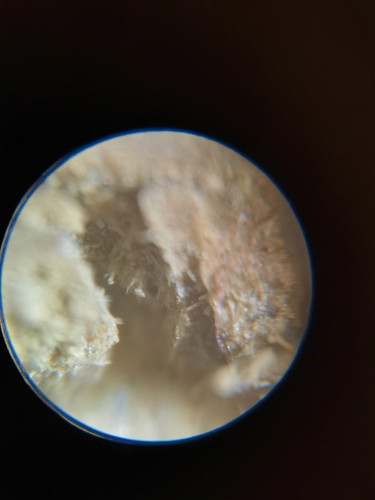 IMG 20250704 160854.jpg