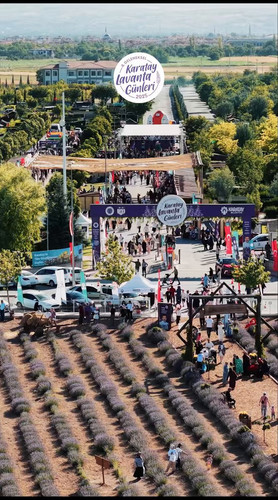 6sbCGEhAtrOK gDu.jpg