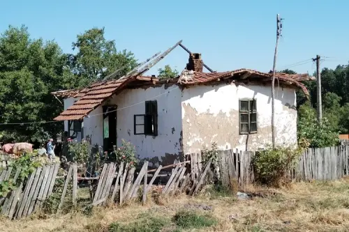 main webp auto generated 2.webp