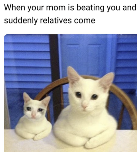 Screenshot 2025 07 04 at 3.53.59 PM.png