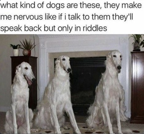 Screenshot 2025 07 04 at 3.54.16 PM.png