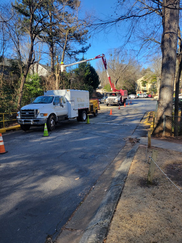 Stump Removal Grayson.jpg