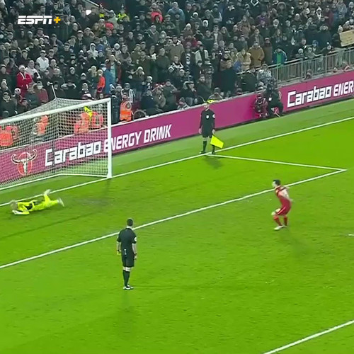 w31If27ziKMWDL v.jpg