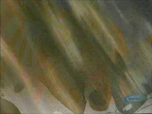 ezgif 1 3ba2a98771.gif
