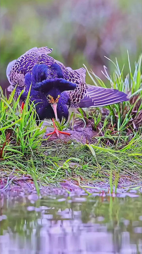 2IDE auA5EkTXlo4.jpg