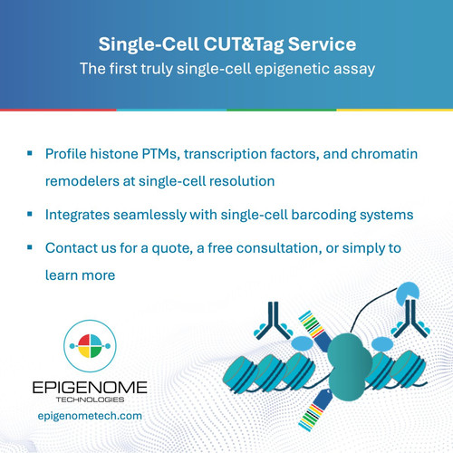 GvA0wg0X0AEXk4b.jpg