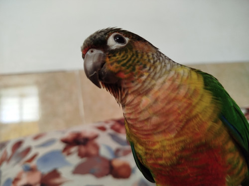 IMG 20250530 085318.jpg