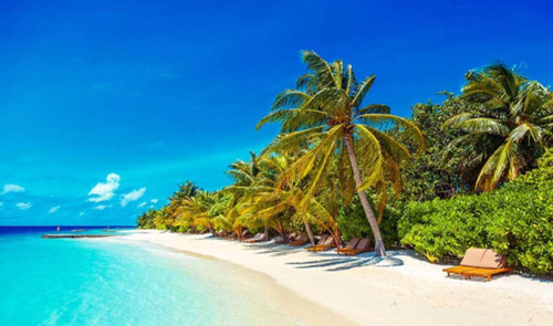 InShot ۲۰۲۵۰۷۰۴ ۱۲۱۴۴۸۲۰۵.jpg