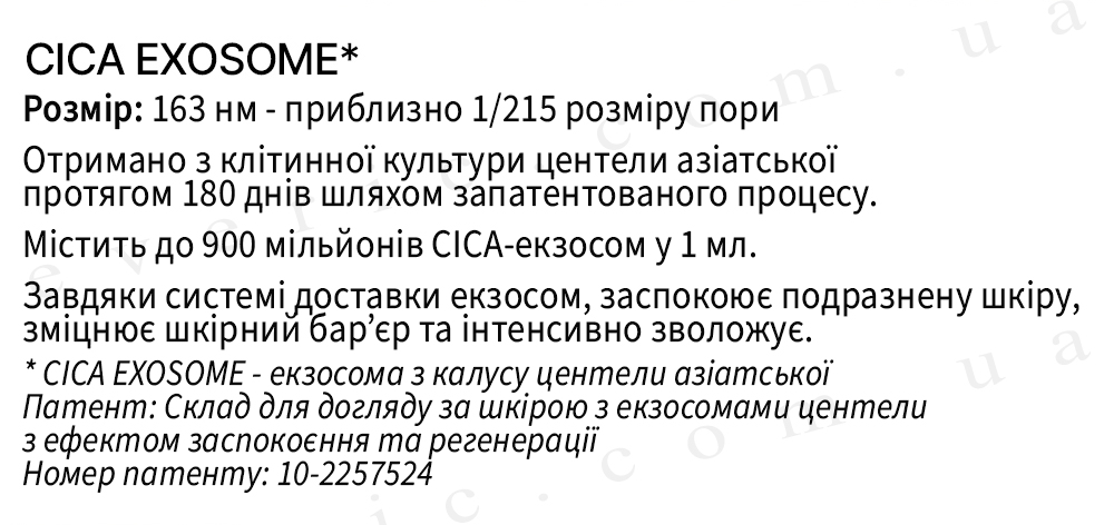 7 копия