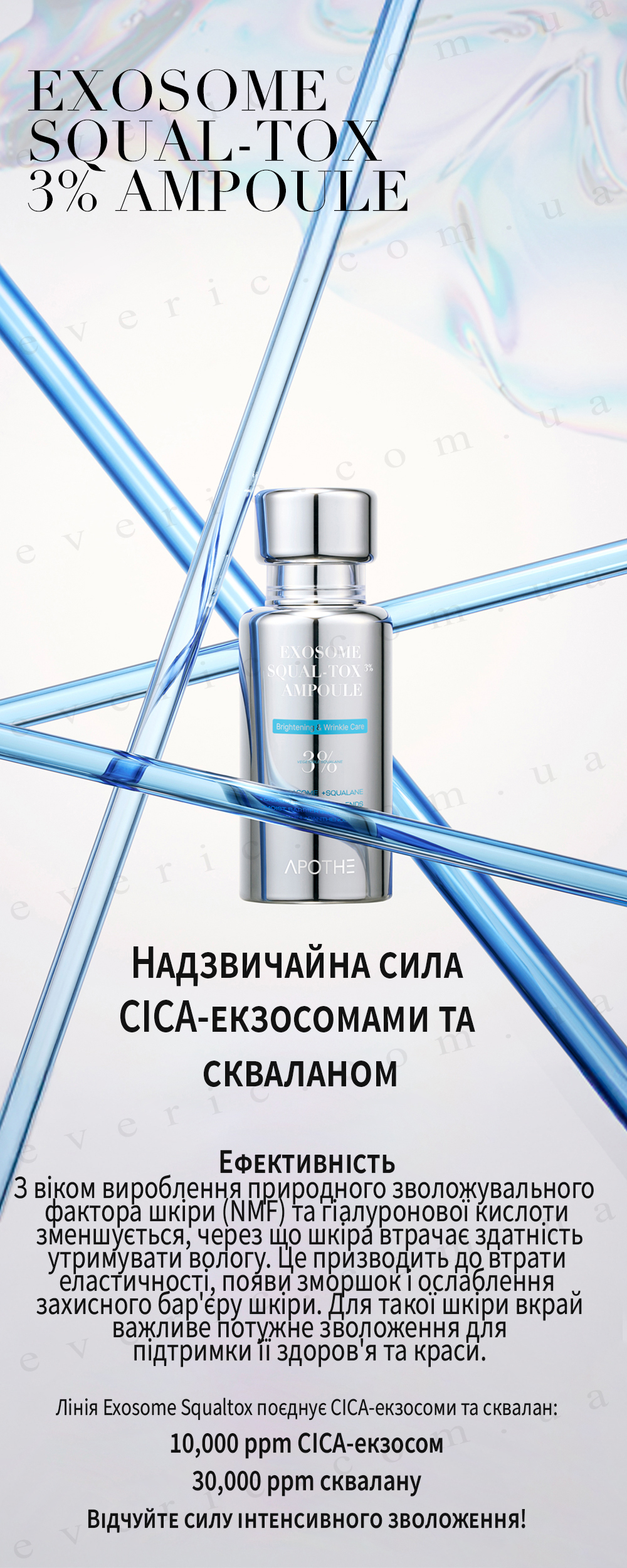 1 копия
