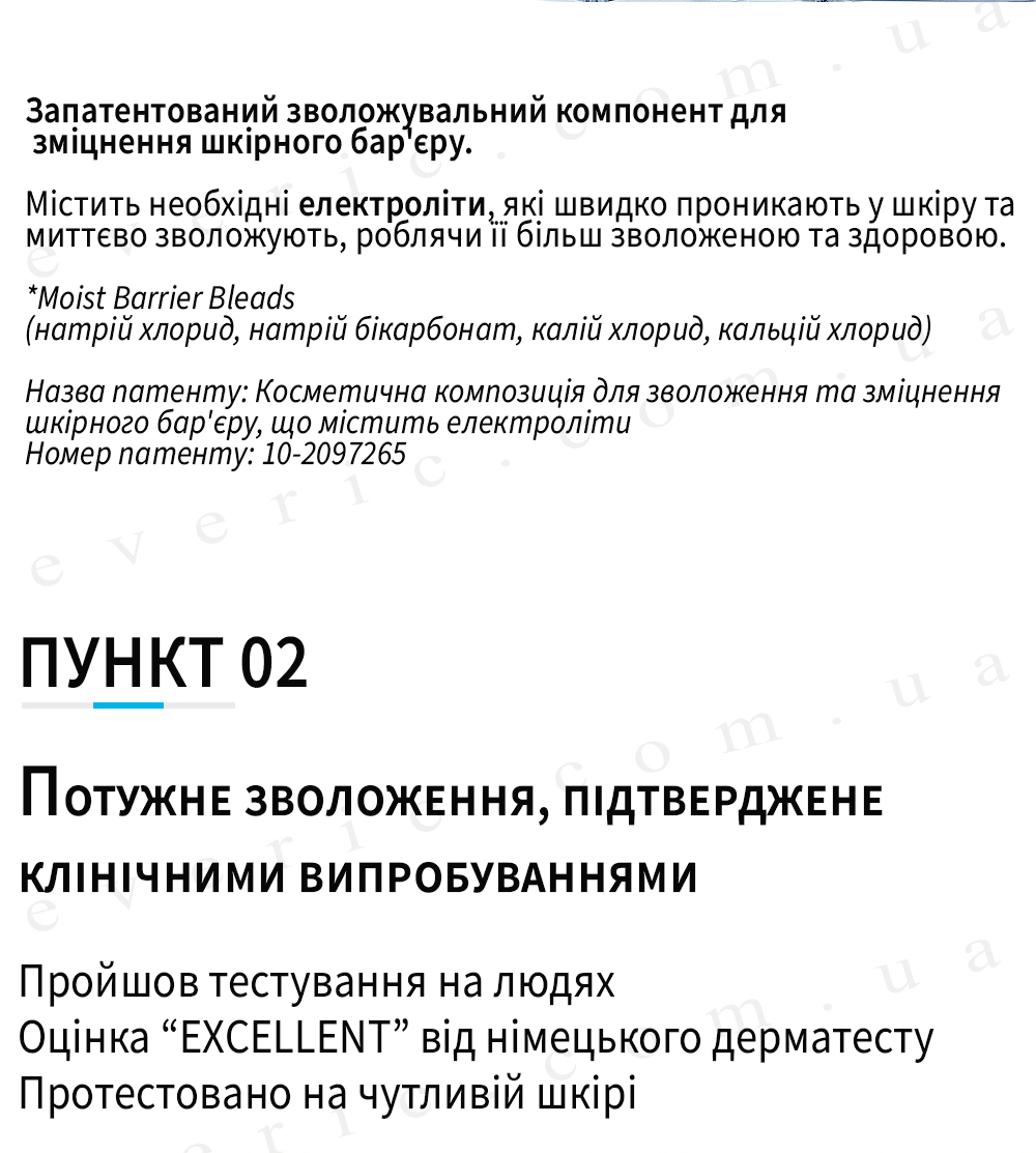 12 копия